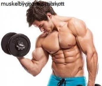 Muskelbyggare synonym